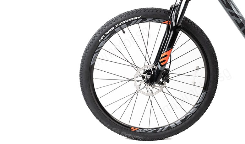 Sava Deck 2.0 Mountain Bike Tire