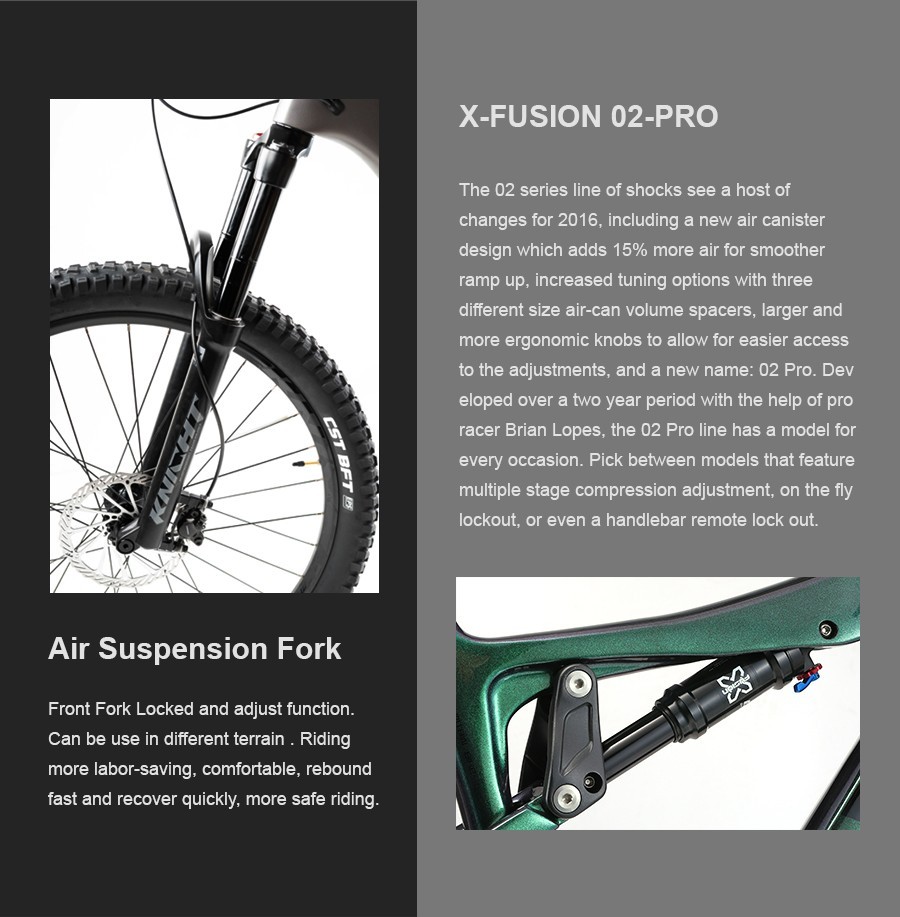 Denon 6.0 Carbon Fiber Full Suspension Mountain Bike
