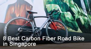 Read more about the article 8 Best Carbon Fiber Road Bikes in Singapore