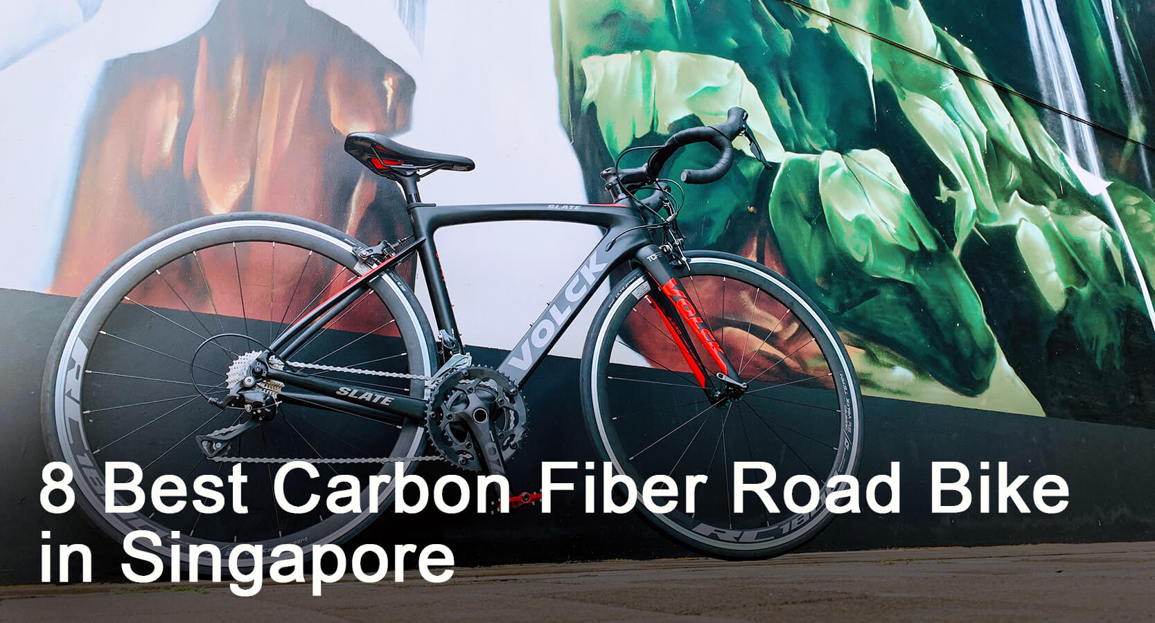 You are currently viewing 8 Best Carbon Fiber Road Bikes in Singapore