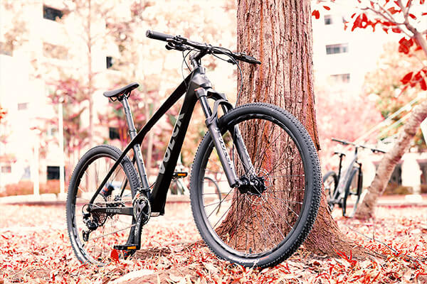 7 best carbon fiber mountain bike in sg