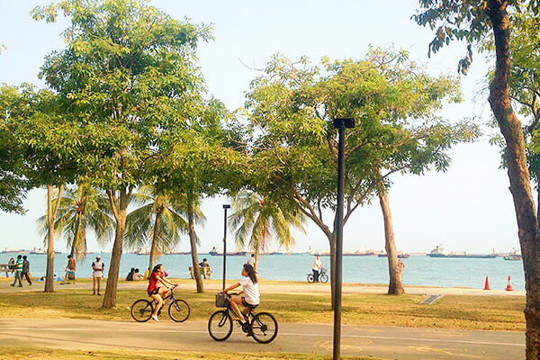 Singapore Cycling Routes